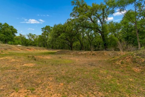 Land in Dade City, Florida № 2093936 - photo 14