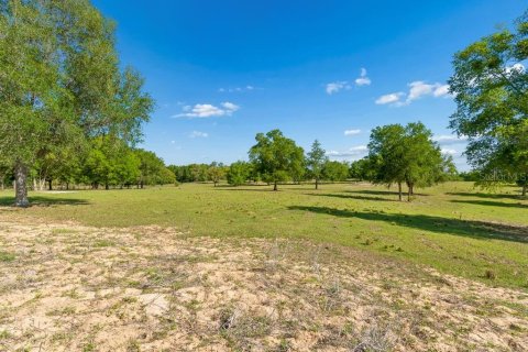 Land in Dade City, Florida № 2093936 - photo 10
