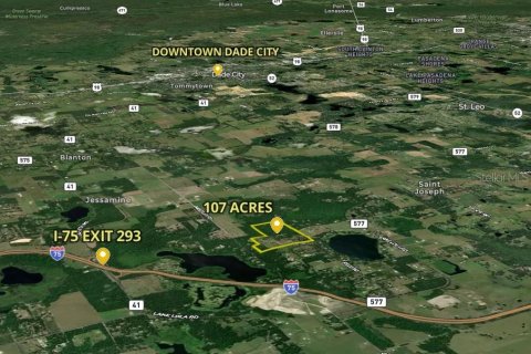 Land in Dade City, Florida № 2093936 - photo 3