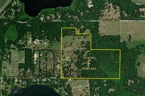 Land in Dade City, Florida № 2093936