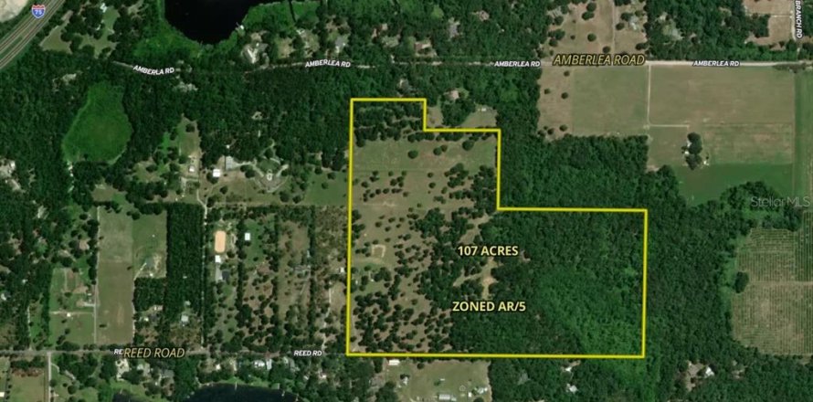 Land in Dade City, Florida № 2093936