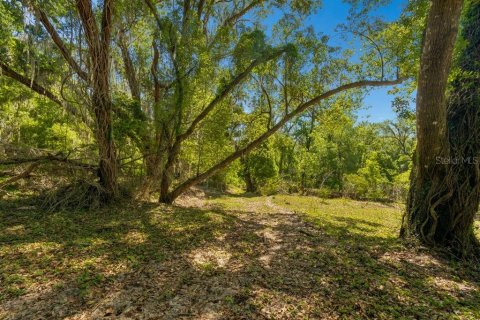 Land in Dade City, Florida № 2093936 - photo 17