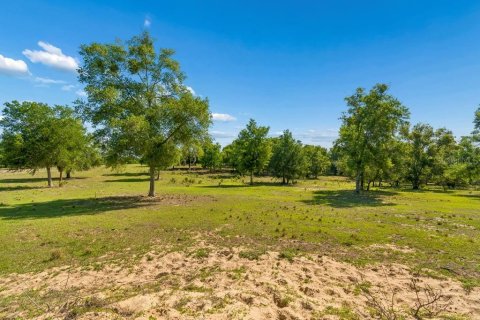 Land in Dade City, Florida № 2093936 - photo 11