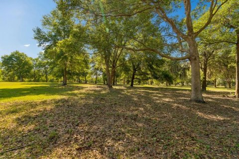Land in Dade City, Florida № 2093936 - photo 5