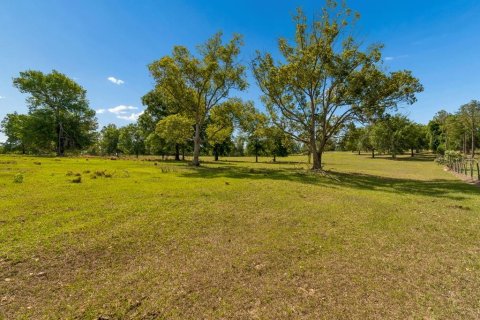 Land in Dade City, Florida № 2093936 - photo 24