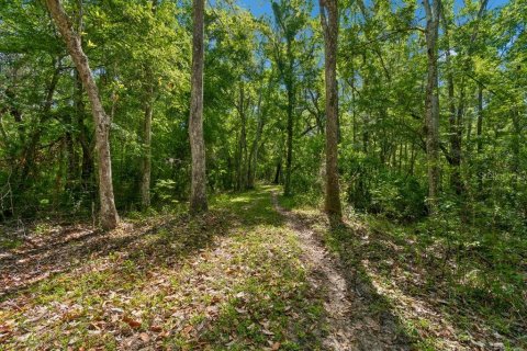Land in Dade City, Florida № 2093936 - photo 23