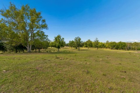 Land in Dade City, Florida № 2093936 - photo 12