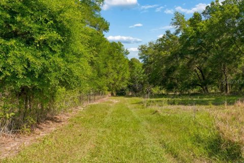 Land in Dade City, Florida № 2093936 - photo 20