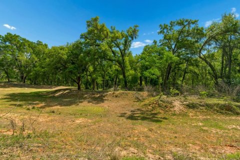 Land in Dade City, Florida № 2093936 - photo 16