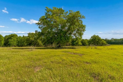 Land in Dade City, Florida № 2093936 - photo 21