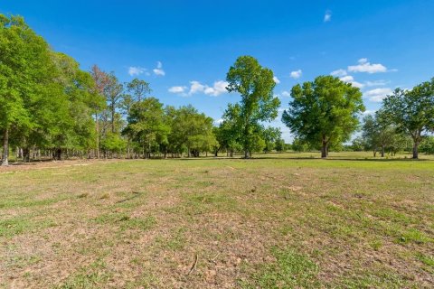 Land in Dade City, Florida № 2093936 - photo 8