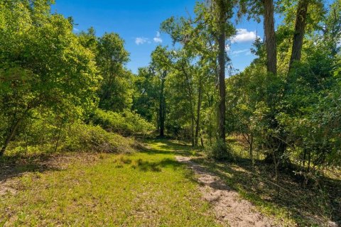 Land in Dade City, Florida № 2093936 - photo 28