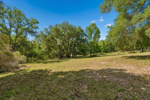 Land in Dade City, Florida № 2093936 - photo 18