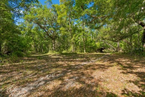 Land in Dade City, Florida № 2093936 - photo 30