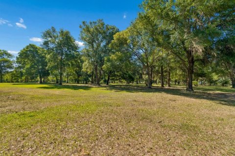 Land in Dade City, Florida № 2093936 - photo 6