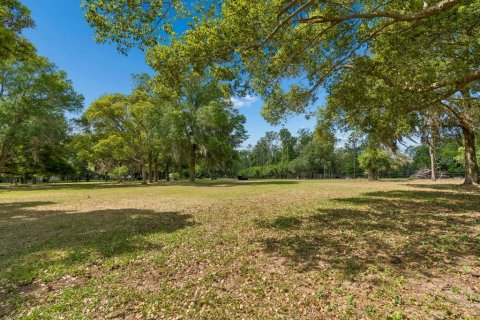 Land in Dade City, Florida № 2093936 - photo 22