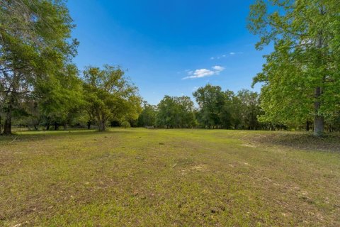 Land in Dade City, Florida № 2093936 - photo 27
