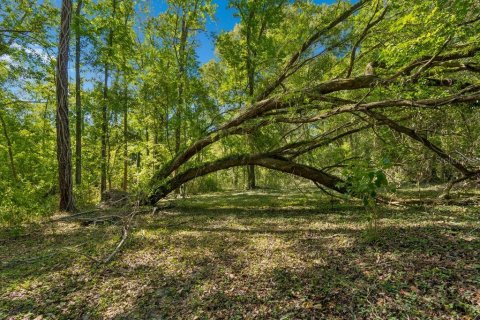 Land in Dade City, Florida № 2093936 - photo 29