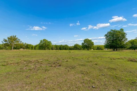 Land in Dade City, Florida № 2093936 - photo 26