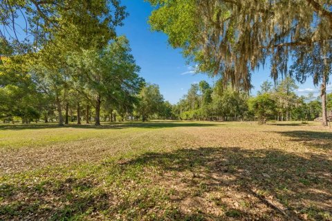 Land in Dade City, Florida № 2093936 - photo 4