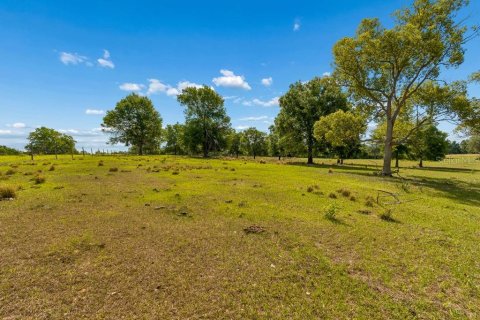 Land in Dade City, Florida № 2093936 - photo 19