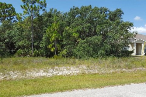 Land in Poinciana, Florida № 2101950 - photo 2