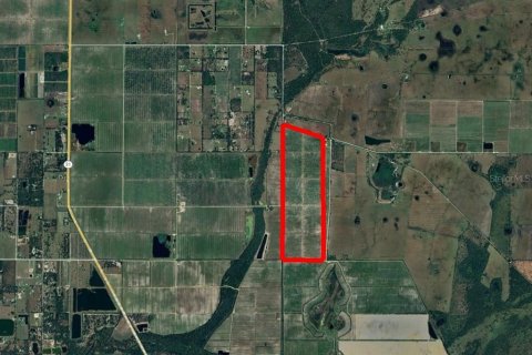 Land in Arcadia, Florida № 1509154 - photo 2