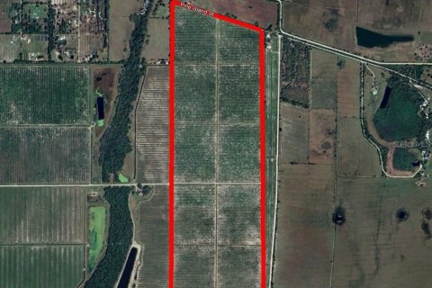 Land in Arcadia, Florida № 1509154 - photo 1