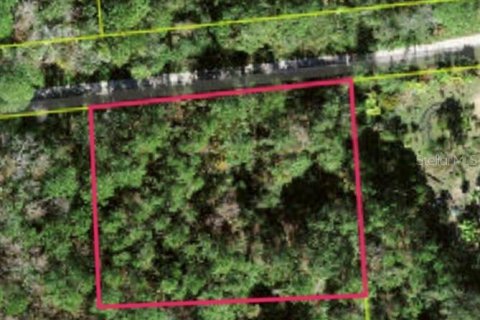 Terreno en Kissimmee, Florida № 2101332