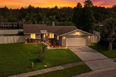 Villa ou maison à Oldsmar, Floride 3 chambres, 125.14 m2 № 2401173