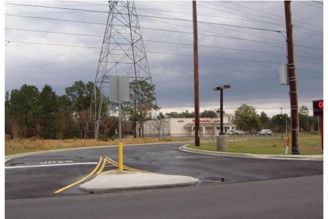 Land in Ocala, Florida № 1540902 - photo 2