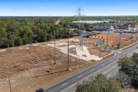 Land in Ocala, Florida № 1540902 - photo 7