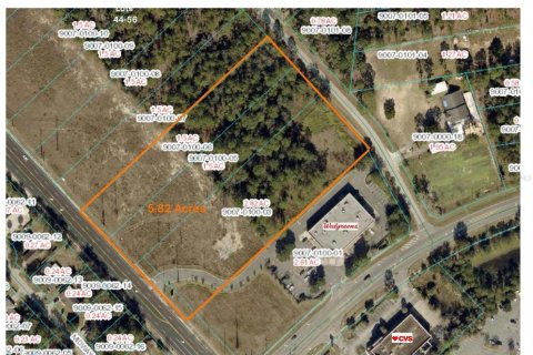 Land in Ocala, Florida № 1540902 - photo 1