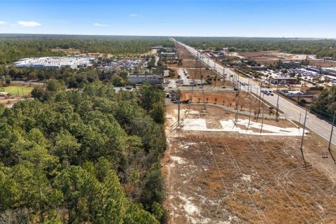 Land in Ocala, Florida № 1540902 - photo 8