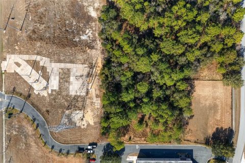 Land in Ocala, Florida № 1540902 - photo 8