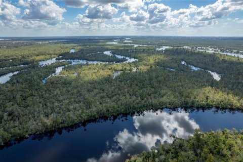 Terreno en venta en Arcadia, Florida № 850798 - foto 5