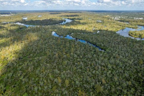 Terreno en venta en Arcadia, Florida № 850798 - foto 7