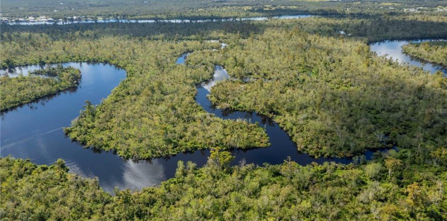 Terreno en Arcadia, Florida № 850798