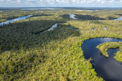 Terreno en venta en Arcadia, Florida № 850798 - foto 8