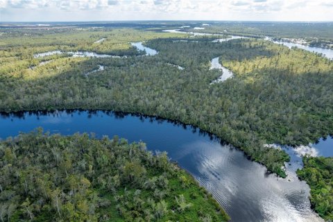 Terreno en venta en Arcadia, Florida № 850798 - foto 3