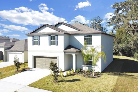 Villa ou maison à ABBOTT SQUARE à Zephyrhills, Floride 6 chambres, 287.25 m2 № 2334299