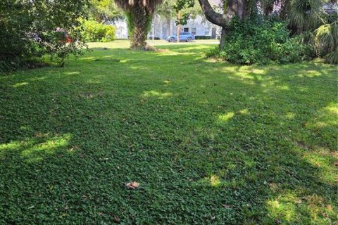 Land in Orlando, Florida № 2393597 - photo 2