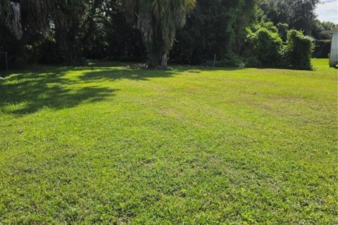 Land in Orlando, Florida № 2393597
