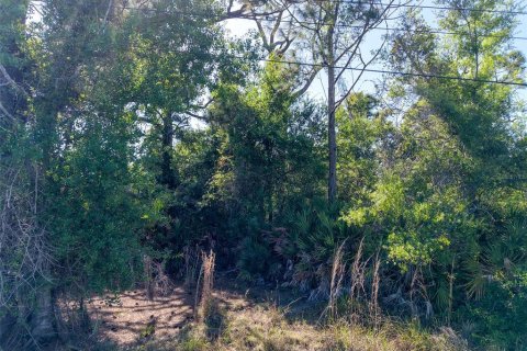 Land in Rotonda, Florida № 2163672 - photo 13