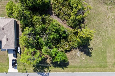 Land in Rotonda, Florida № 2163672 - photo 10