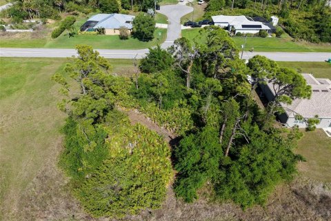 Land in Rotonda, Florida № 2163672 - photo 7