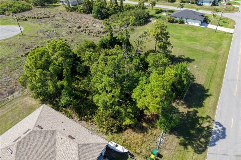 Land in Rotonda, Florida № 2163672 - photo 2