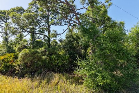 Land in Rotonda, Florida № 2163672 - photo 12