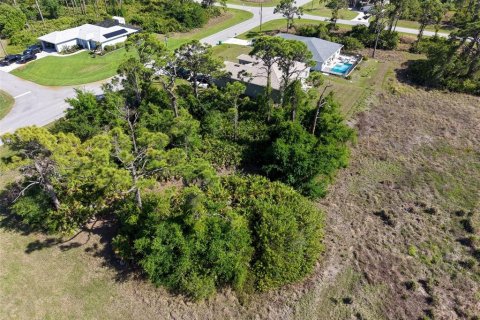 Land in Rotonda, Florida № 2163672 - photo 8