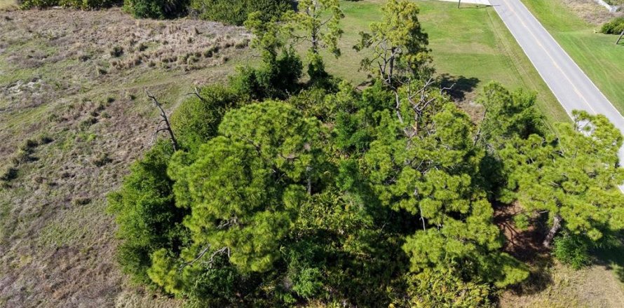 Land in Rotonda, Florida № 2163672